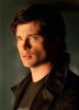 photo Tom Welling