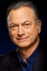 photo Gary Sinise