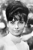 photo Suzanne Pleshette