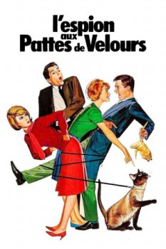 poster L'Espion aux pattes de velours  (1965)