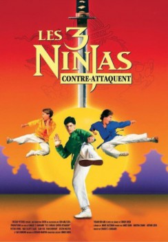 poster Ninja Kids : Les 3 Ninjas Contre-Attaquent  (1994)