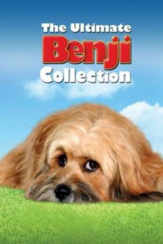 poster Benji - Saga