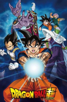 poster Dragon Ball Super - Saga